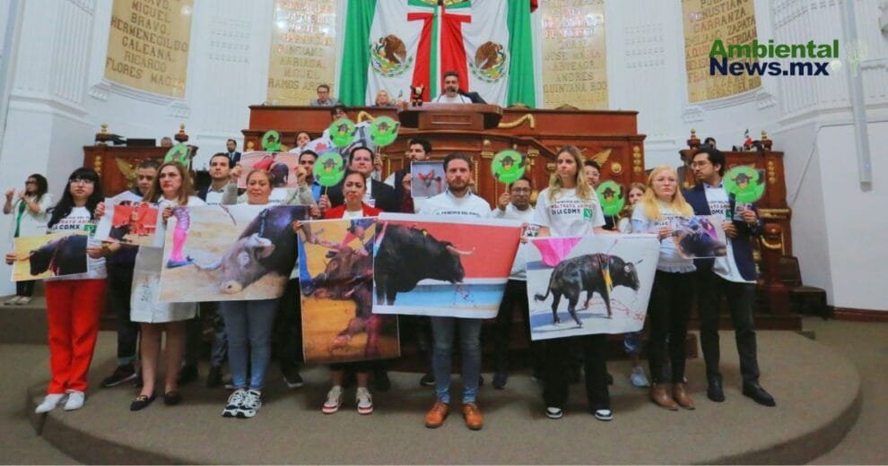 CDMX aprueba corridas de toros sin violencia Un cambio historico en la Tauromaquia