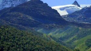 Caficultores de la Sierra Nevada de Santa Marta lideran la restauracion de bosques afectados por cultivos ilicitos
