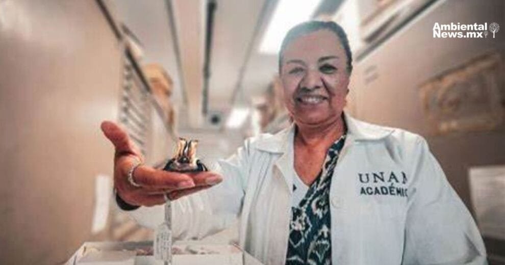 Descubren nueva especie de murciélago en México 11 Descubren nueva especie de murcielago en Mexico