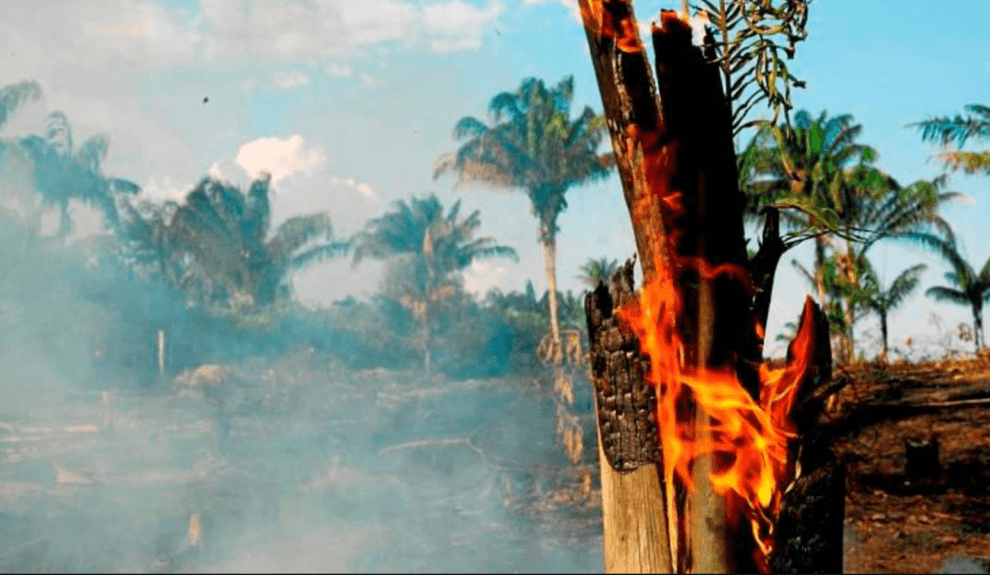 Mujeres indígenas lideran la lucha contra la deforestación en la selva Chiquitania 10 Fuego