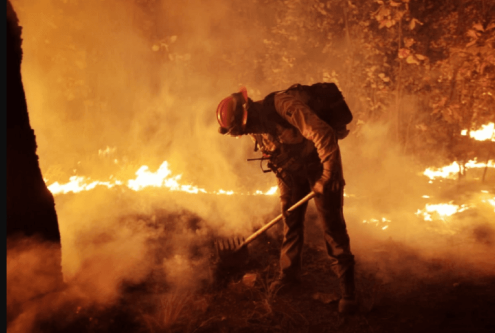 Incendio forestal en el “Pulmón verde” de Jalisco 10 Incendio