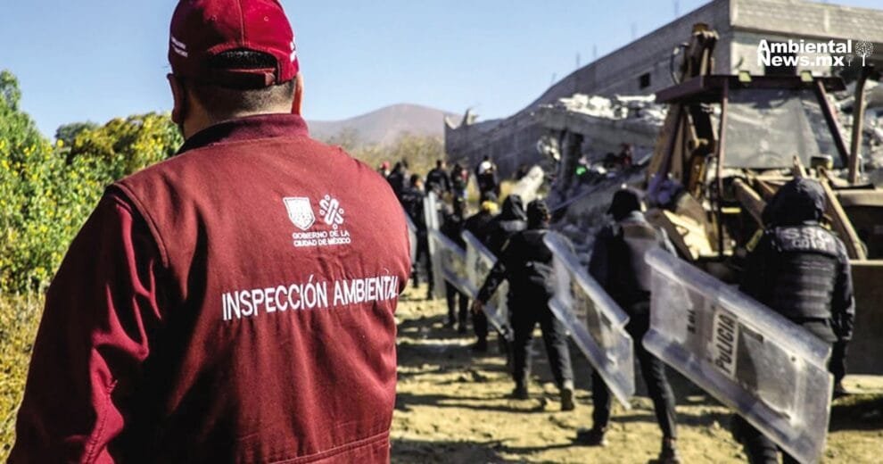 Programa Ojos Verdes la estrategia para detener construcciones inmobiliarias ilegales