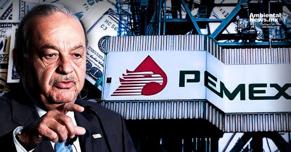 Programa Ojos Verdes la estrategia para detener construcciones inmobiliarias ilegales 3