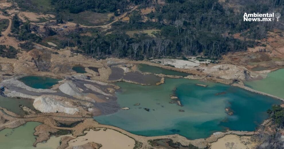 Crisis ambiental en América Latina: racionamiento de agua y minería ilegal 10 Crisis ambiental en América Latina: racionamiento de agua y minería ilegal