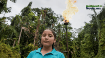 Jóvenes Activistas Luchan por el Medio Ambiente en América Latina