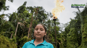 Jóvenes Activistas Luchan por el Medio Ambiente en América Latina
