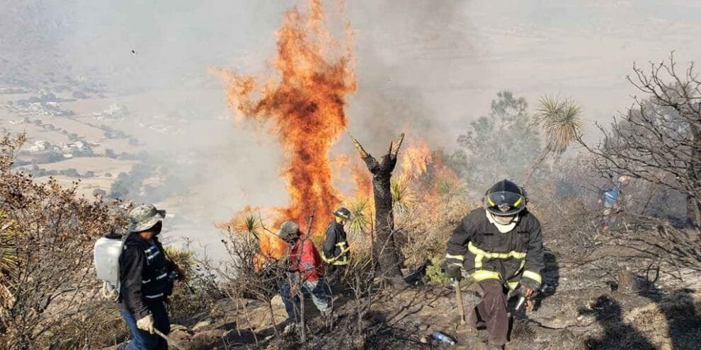 Incendio forestal en Tetela de Ocampo, Puebla: autoridades trabajan para su extinción 10 Incendio forestal en Tetela de Ocampo, Puebla: autoridades trabajan para su extinción