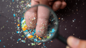 La contaminación por plástico podría desencadenar la próxima gran crisis sanitaria global