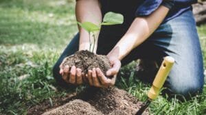 Reforestación con especies nativas en Villa Carlos Paz