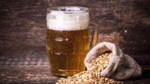 El problema de los residuos de cerveza y la solución vegana que está revolucionando el mundo