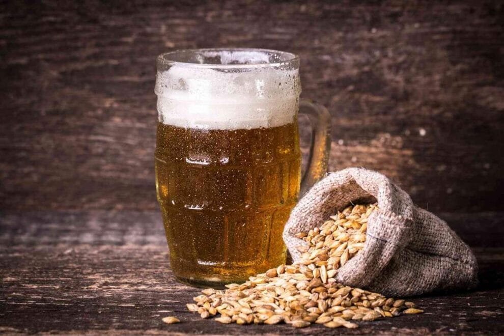 El problema de los residuos de cerveza y la solución vegana que está revolucionando el mundo