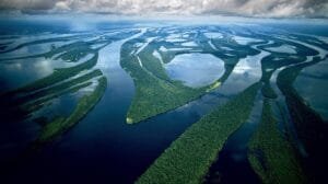 Chile revela un Amazonas submarino para frenar el cambio climático