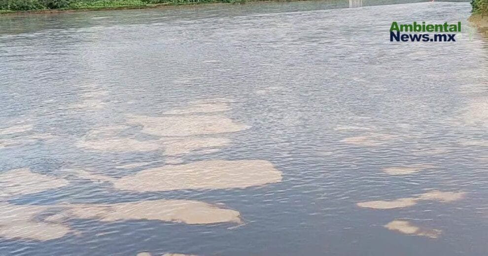 ¿Qué está pasando en Ecuador? Derrame de petróleo pone en riesgo a comunidades