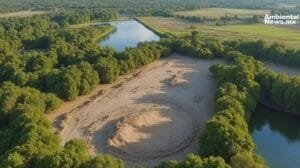 AN WEB Mexico enfrenta una crisis ambiental mas de 38 mil hectareas devastadas por incendios forestales 1