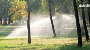AN WEB Torreon apuesta por el riego con agua tratada y la reforestacion con especies resistentes al clima