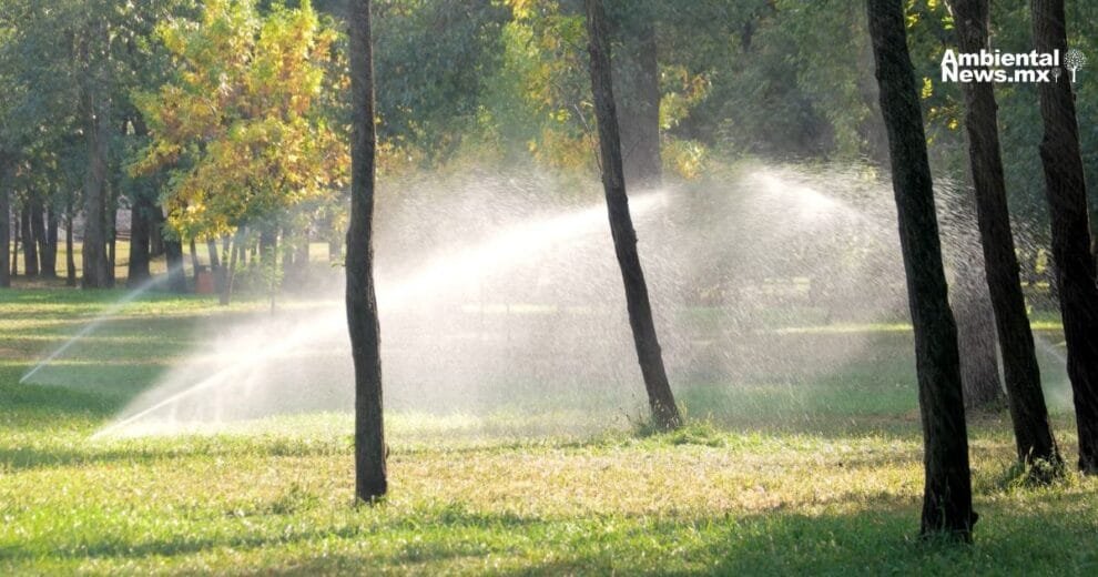 AN WEB Torreon apuesta por el riego con agua tratada y la reforestacion con especies resistentes al clima