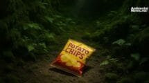 AN WEB Una bolsa de papas fritas Enormes consecuencias en el ecosistema