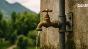 Deforestacion especies invasoras y falta de gobernanza los retos que enfrenta el agua en Mexico segun la UNESCO