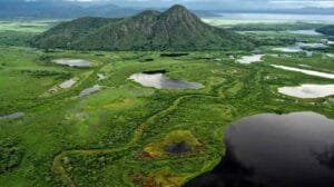El Pantanal