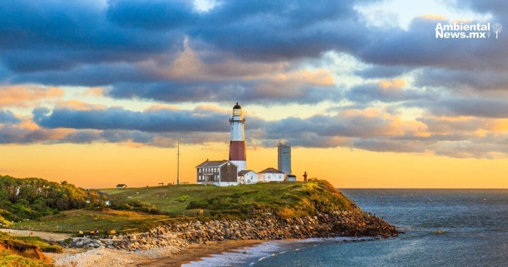 El cambio climatico empuja a serpientes venenosas hacia nuevos territorios un riesgo creciente para la salud global 1