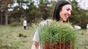 España: Artajona inicia proyecto de bosque