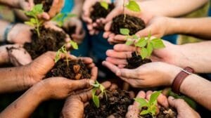 Nestlé y UNESCO impulsan a jóvenes para combatir el cambio climático