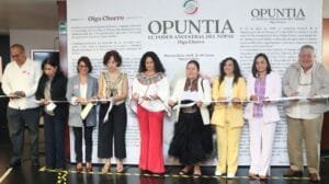 Opuntia