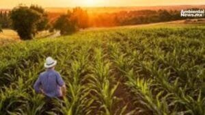 Sancionaran a Ternium por derrame contaminante en el Arroyo La Talaverna en Monterrey