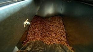 pellets plásticos
