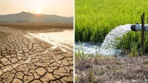 Agua, Biodiversidad y Clima