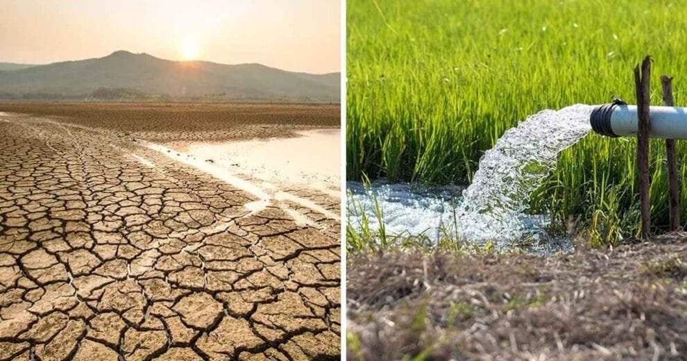Agua, Biodiversidad y Clima