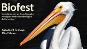BioFesT