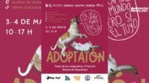 Ciudad de Mexico celebra el Segundo Adoptaton una nueva oportunidad para cientos de perros y gatos sin hogar