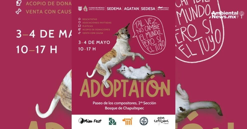 Ciudad de Mexico celebra el Segundo Adoptaton una nueva oportunidad para cientos de perros y gatos sin hogar
