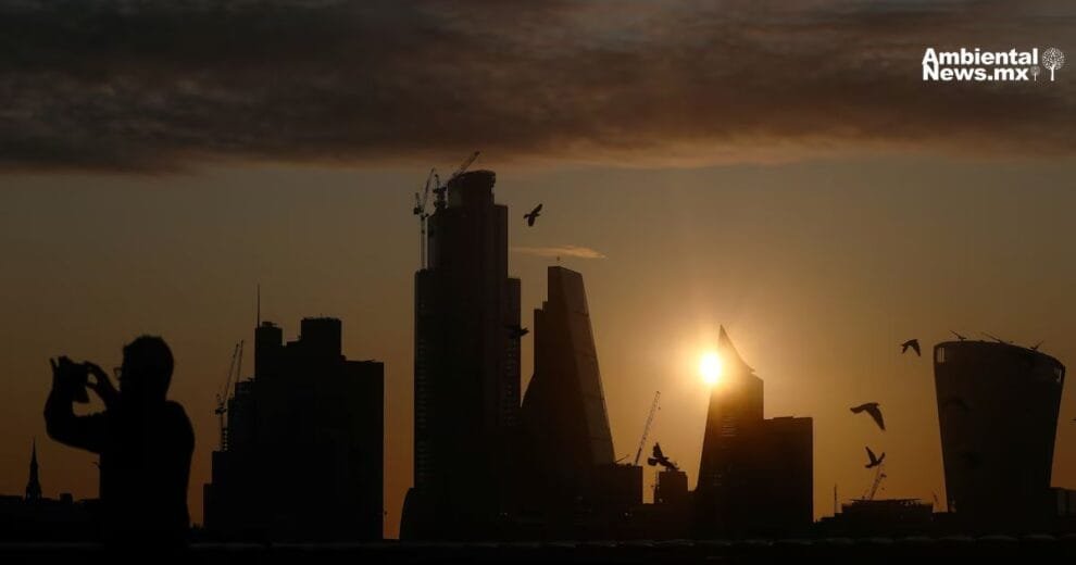 Ciudad de Mexico celebra el Segundo Adoptaton una nueva oportunidad para cientos de perros y gatos sin hogar 1