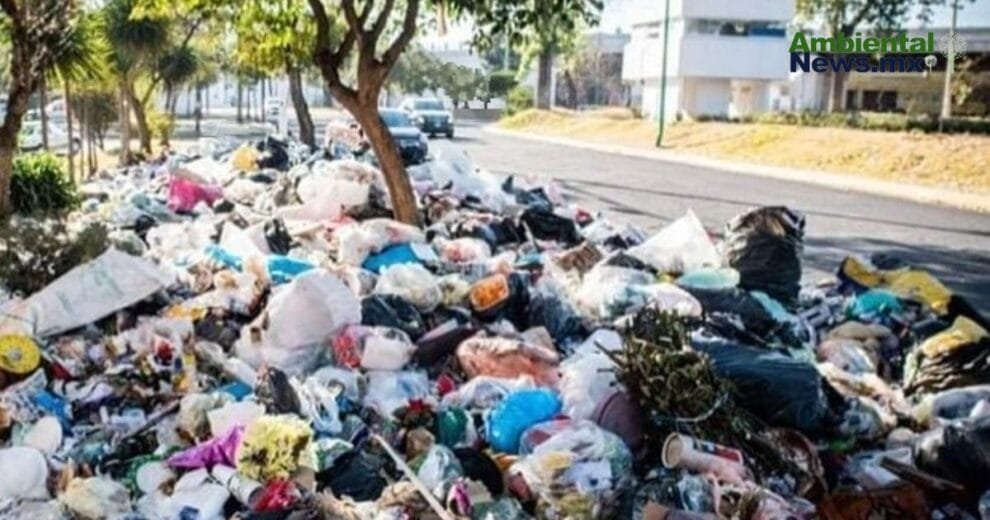 Copenhague recompensa a los turistas que cuidan el medio ambiente asi funciona el programa CopenPay 2