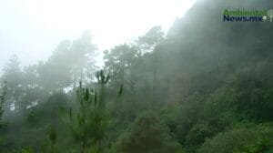 Decidir sobre la tierra Oaxaca abre camino a pueblos originarios