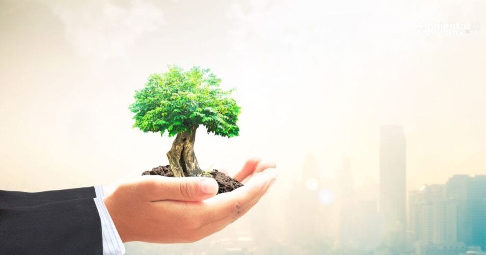 El cambio climatico y su amenaza para la economia global