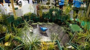 eria del medio ambiente