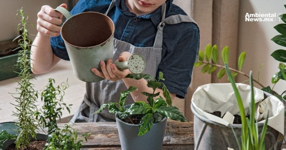 Fin de semana de naturaleza y ciencia en Chapultepec