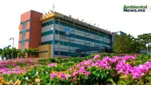 Gobierno aclara por que empresas chinas detuvieron proyectos de litio