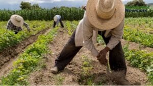 Mexico necesitara 1.7 billones de pesos anuales para cumplir compromisos climaticos rumbo a 2030 2