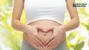 Mujeres embarazadas en alerta el cambio climatico eleva riesgos de salud
