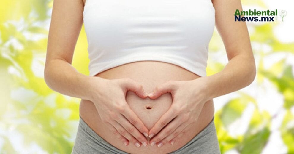 Mujeres embarazadas en alerta el cambio climatico eleva riesgos de salud
