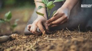Navarra lanza la revolucion de la agricultura regenerativa