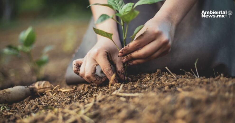 Navarra lanza la revolucion de la agricultura regenerativa