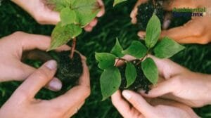 Premian a defensores del medioambiente en el Congreso de Chihuahua