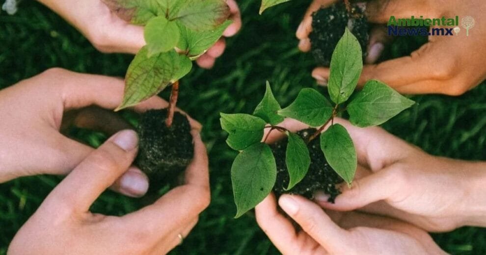 Premian a defensores del medioambiente en el Congreso de Chihuahua