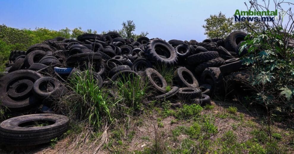 Suspenden tiradero clandestino en Cadereyta y evitan la quema de mil llantas