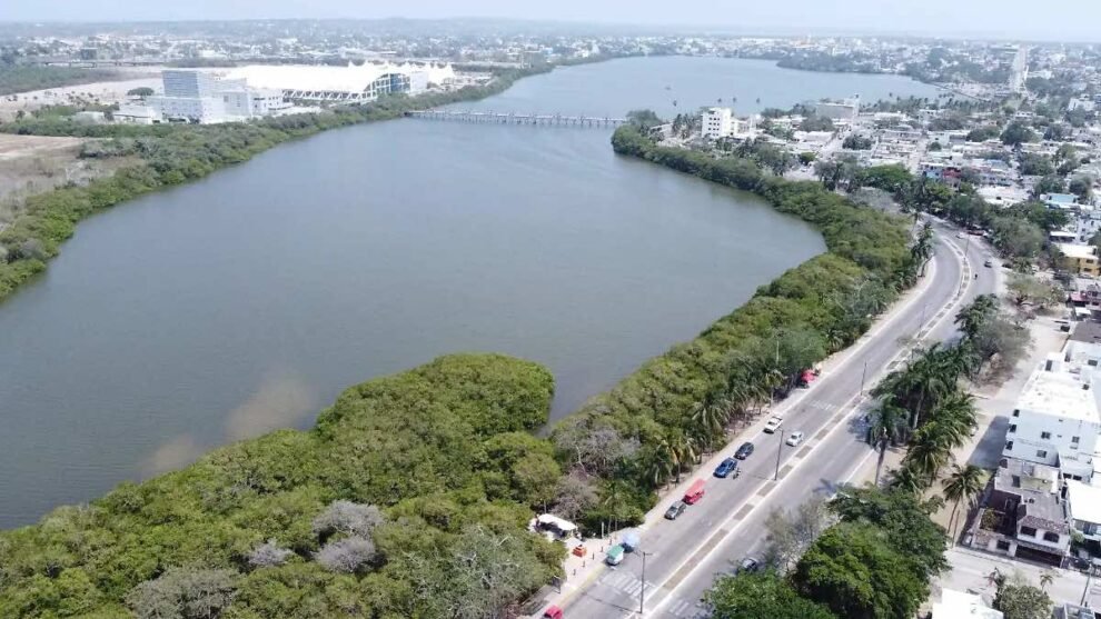 Tampico apuesta por la restauración de humedales urbanos como pilar de su agenda ambiental 10 humedales,